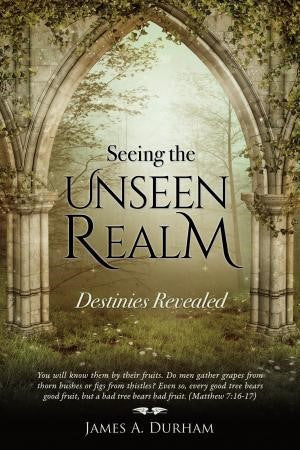Seeing the Unseen Realm